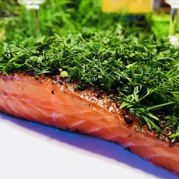 Graved-salmon--pickled-salmon--Nordic-Arctic-with-aquavit--nordic-spices-and-fresh-dill